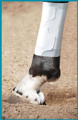 Show full view: PawFlex Equine BandaFlex Disposable Horse Bandage, 20 count, Large slide 4 of 8