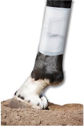 PawFlex Equine BandaFlex Disposable Horse Bandage, 20 count, Medium