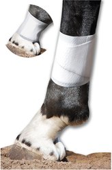 PawFlex Equine BandaFlex Disposable Horse Bandage, 20 count, Small