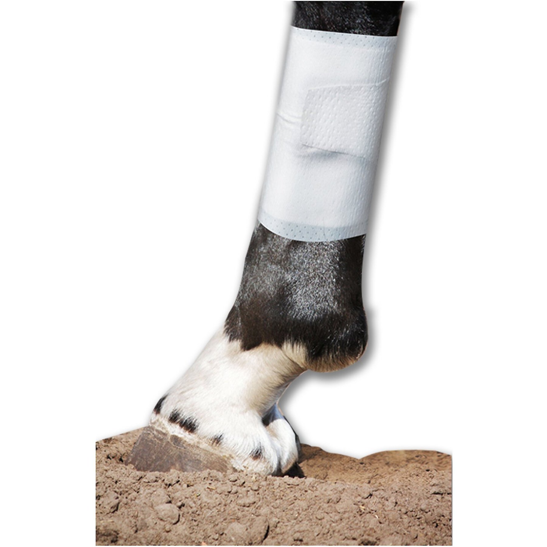 PawFlex Equine BandaFlex Disposable Horse Bandage, 20 count, Medium