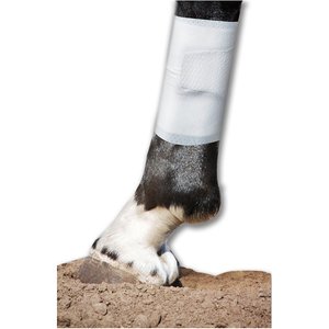 PawFlex Equine BandaFlex Disposable Horse Bandages, 10 count, Medium