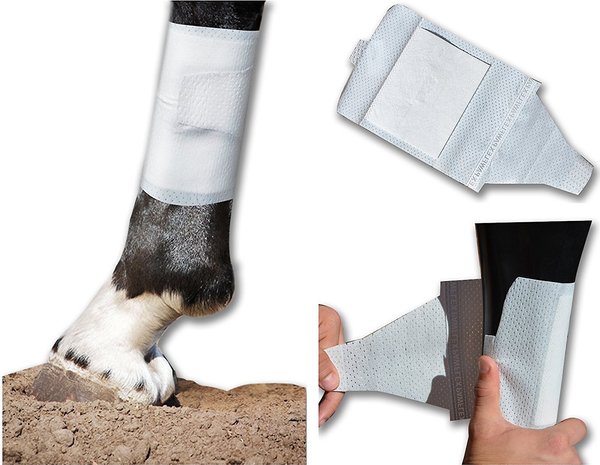 PawFlex Equine BandaFlex Disposable Horse Bandages Variety Pack
