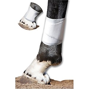 PawFlex Equine BandaFlex Disposable Horse Bandages, 10 count, Small