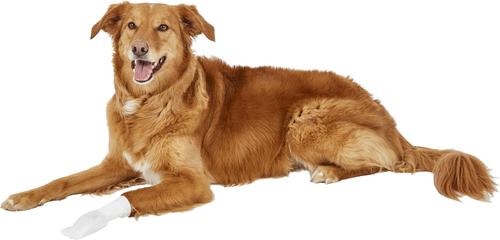 Show full view: PawFlex MediMitt Disposable Dog Bandage, 4 count, Large slide 10 of 13