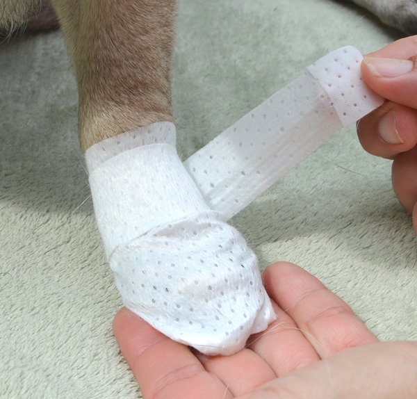 PawFlex MediMitt Disposable Dog Bandage, 4 count