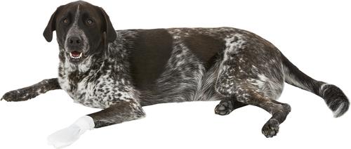 Show full view: PawFlex MediMitt Disposable Dog Bandage, 4 count, X-Large slide 10 of 13