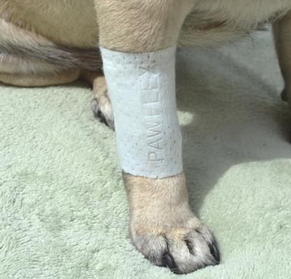 Show full view: PawFlex Protective Sleeve Disposable Dog Bandage Cover 3 count, Large slide 4 of 13