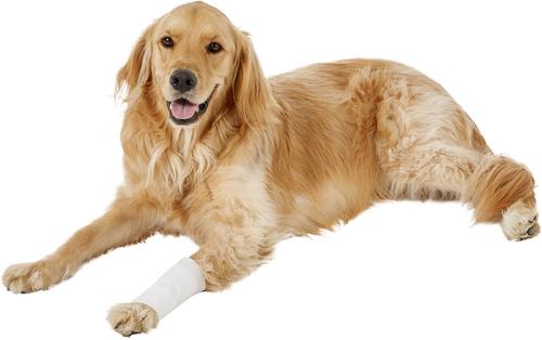 Show full view: PawFlex Protective Sleeve Disposable Dog Bandage Cover, 3 count, X-Large slide 10 of 13