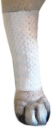 PawFlex Protective Sleeve Disposable Dog Bandage Cover, 3 count, XX-Small