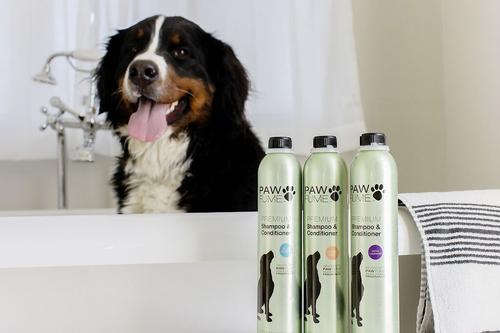 Show full view: Pawfume Premium Lavender Dog Shampoo & Conditioner, 12-fl oz bottle slide 5 of 6