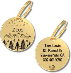 PawFurEver Circle Personalized Dog ID Tag, Gold, Darknight