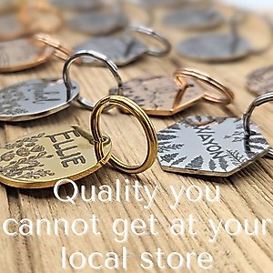 PawFurEver Circle Personalized Dog ID Tag, Silver, Wildflower