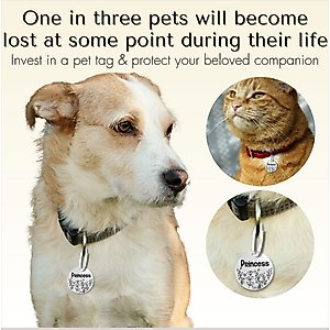 PawFurEver Circle Personalized Dog ID Tag, Silver, Wildflower