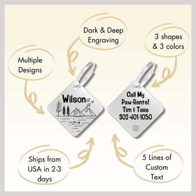 Show full view: PawFurEver Diamond Personalized Dog ID Tag, Silver, Fly High slide 7 of 10