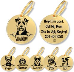 PawFurEver Dog Breed Stainless Steel Personalized Dog ID Tag, Airedale Terrier, Gold
