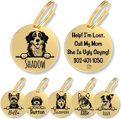 Show full view: PawFurEver Dog Breed Stainless Steel Personalized Dog ID Tag, Bernese Mount, Gold slide 1 of 10
