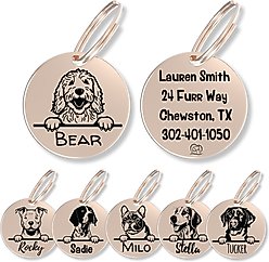PawFurEver Dog Breed Stainless Steel Personalized Dog ID Tag, Golden Doodle, Rose