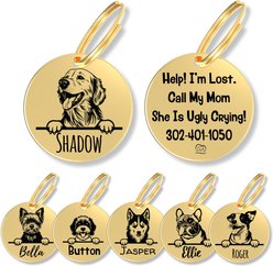 PawFurEver Dog Breed Stainless Steel Personalized Dog ID Tag, Golden Retriever, Gold