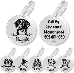 PawFurEver Dog Breed Stainless Steel Personalized Dog ID Tag, Labrador Retriever, Silver