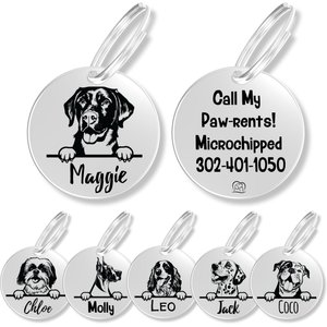 PawFurEver Dog Breed Stainless Steel Personalized Dog ID Tag, Labrador Retriever, Silver
