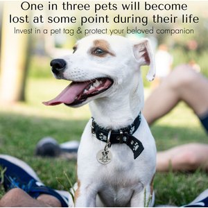 PawFurEver Dog Breed Stainless Steel Personalized Dog ID Tag, Labrador Retriever, Silver