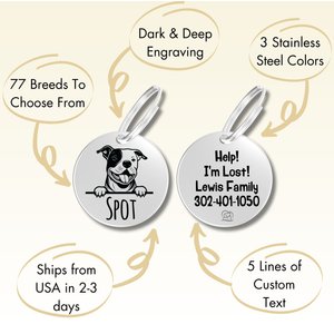PawFurEver Dog Breed Stainless Steel Personalized Dog ID Tag, Labrador Retriever, Silver