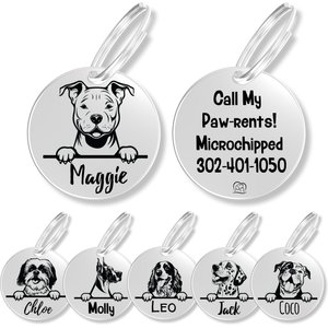 PawFurEver Dog Breed Stainless Steel Personalized Dog ID Tag, Pitbull, Silver