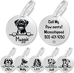 PawFurEver Dog Breed Stainless Steel Personalized Dog ID Tag, Puggle, Silver