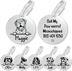 PawFurEver Dog Breed Stainless Steel Personalized Dog ID Tag, Shar Pei, Silver
