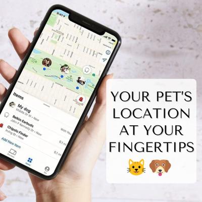 Show full view: PawFurEver Dog & Cat AirTag Holder with QR Code, Blue, 1 count slide 4 of 6