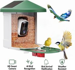 PawFurEver Gateway to Birdwatching Bliss AI Smart Wild Bird Feeder with Camera, Green
