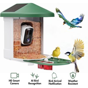 PawFurEver Gateway to Birdwatching Bliss AI Smart Wild Bird Feeder with Camera, Green