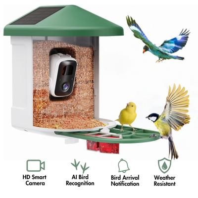 Show full view: PawFurEver Gateway to Birdwatching Bliss AI Smart Wild Bird Feeder with Camera, Green slide 1 of 10