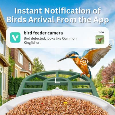 Show full view: PawFurEver Gateway to Birdwatching Bliss AI Smart Wild Bird Feeder with Camera, Green slide 4 of 10
