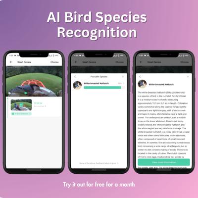 Show full view: PawFurEver Gateway to Birdwatching Bliss AI Smart Wild Bird Feeder with Camera, Green slide 7 of 10