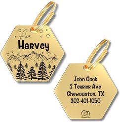PawFurEver Hexagon Personalized Dog ID Tag, Gold, Darknight