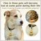 Show in main carousel: PawFurEver Hexagon Personalized Dog ID Tag, Gold, Darknight slide 4 of 11