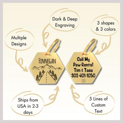 Show full view: PawFurEver Hexagon Personalized Dog ID Tag, Gold, Darknight slide 8 of 11