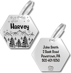 PawFurEver Hexagon Personalized Dog ID Tag, Silver, Darknight