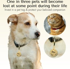 PawFurEver Christmas Holiday Dog & Cat ID Tag, Gold, Mr. Jingles slide 2 of 7
