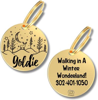 Show full view: PawFurEver Christmas Holiday Dog & Cat ID Tag, Gold, Rudy slide 1 of 8