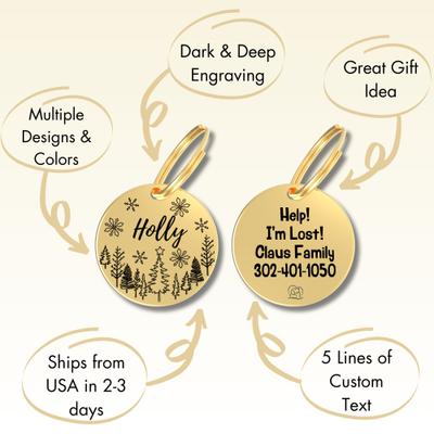 Show full view: PawFurEver Christmas Holiday Dog & Cat ID Tag, Gold, Rudy slide 7 of 8