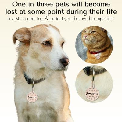 Show full view: PawFurEver Christmas Holiday Dog & Cat ID Tag, Rose Gold, Pumpkin slide 3 of 9