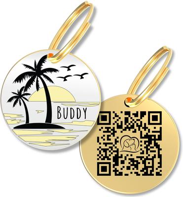 Show full view: PawFurEver Personalized Engraved with QR Code Dog & Cat Tag, Gold, Beach slide 1 of 8