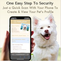 PawFurEver Personalized Engraved with QR Code Dog & Cat Tag, Gold, Beach slide 2 of 7