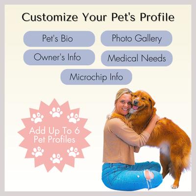 Show full view: PawFurEver Personalized Engraved with QR Code Dog & Cat Tag, Gold, Beach slide 3 of 8