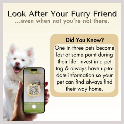 Show full view: PawFurEver Personalized Engraved with QR Code Dog & Cat Tag, Gold, Beach slide 7 of 8