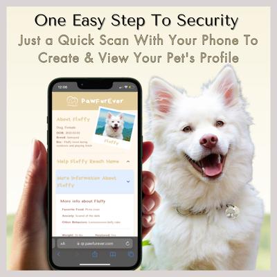 Show full view: PawFurEver Personalized Engraved with QR Code Dog & Cat Tag, Gold, Willow slide 3 of 9