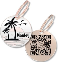 PawFurEver Personalized Engraved with QR Code Dog & Cat Tag, Rose Gold, Beach