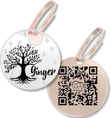Show full view: PawFurEver Personalized Engraved with QR Code Dog & Cat Tag, Rose Gold, Willow slide 1 of 8